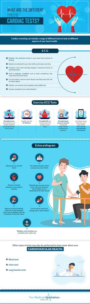 What Are Different Types Of Cardiac Tests Cardiac Screen