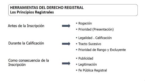 Andrés Eduardo Cusi Arredondo APLICACIÓN DE LOS PRINCIPIOS REGISTRALES