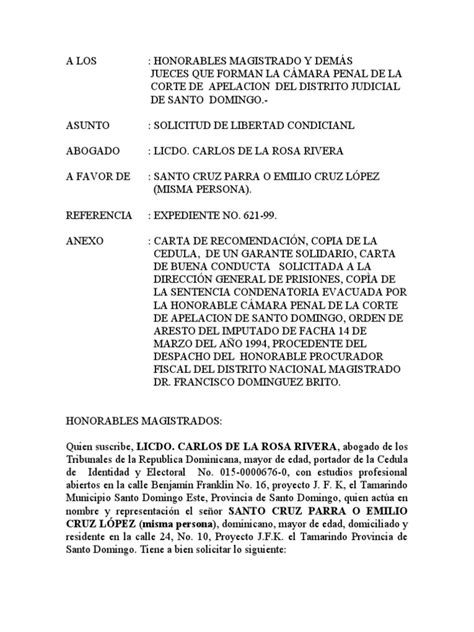 Solicitud Libertad Condicional Pdf Derecho Constitucional Prisión