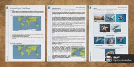 Atlantic Ocean Fact File Worksheet Worksheet Twinkl