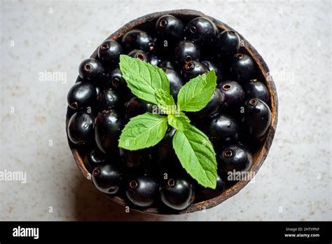 Jamun Fruit In Tamil