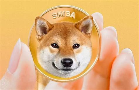 Shiba Inu IA De Google Predice Tres Precios Para Finales De 2024