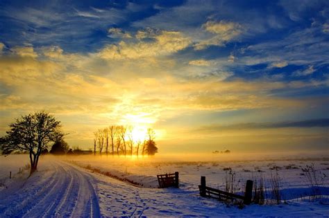 January Sunrise Pretty Glow Shine Bonito Sunset Snowy Path