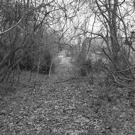 Urban Decay: Abandoned Sears Roebuck Warehouse, Vicksburg
