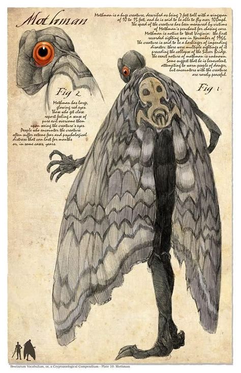 Plate 10 Mothman In 2021 Mythical Creatures Art Mythical Creatures