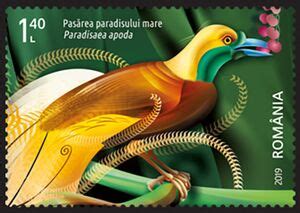 Stamp Greater Bird Of Paradise Paradisaea Apoda Romania Exotic