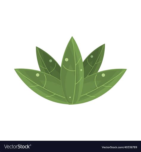 Jungle leaves foliage Royalty Free Vector Image