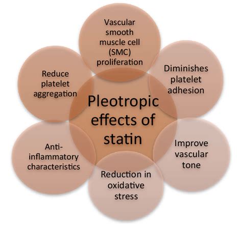 Pleotropic Effects Of Statin Download Scientific Diagram