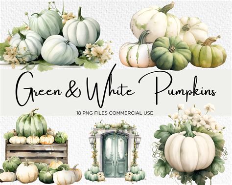 White & Green Pumpkins Clipart Bundle 18 Transparent PNG 300 - Etsy