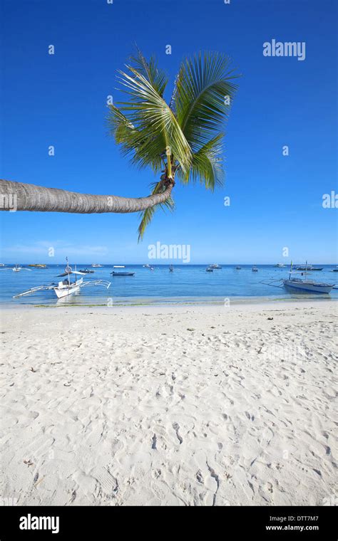 Panglao Island, Bohol Stock Photo - Alamy