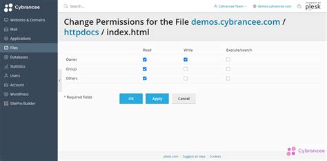 Understanding And Modifying File Permissions In Plesk Cybrancee