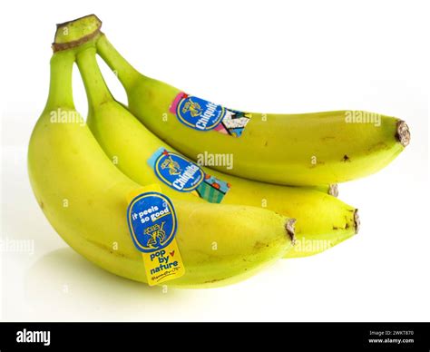 Chiquita Bananas Hi Res Stock Photography And Images Alamy