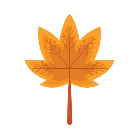 maple autumn leaf illustration 36198557 Vector Art at Vecteezy