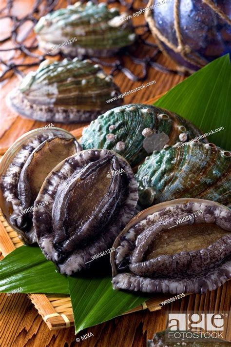 Ezo Abalone Stock Photo Picture And Royalty Free Image Pic