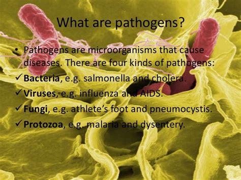 AS Level Biology - Pathogens