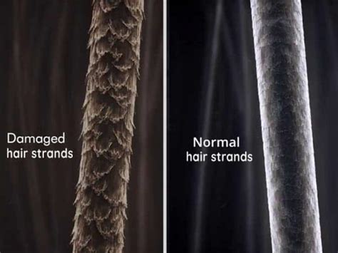 The Best Treatment For Damaged Hair Nobody Ever Tells You - Layla Hair ...