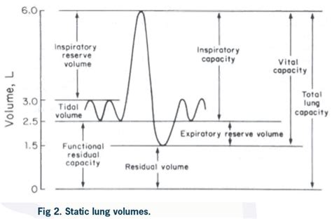 Respiratory Function Testing | RSDC