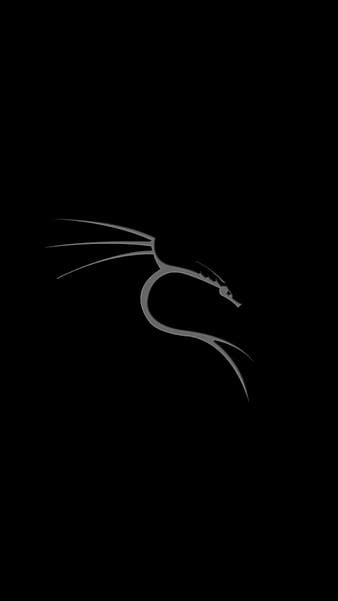 Kali Linux Dark Wallpaper K For Pc Infoupdate Org