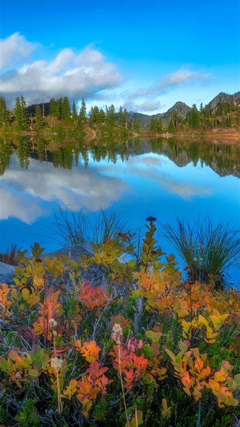 Jesień nad jeziorem Basin Lake Tapeta na telefon