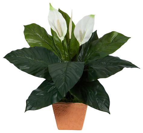 2 Spathiphyllum Artificial Plant Terra Cotta Planter Modern Artificial Flower Arrangements