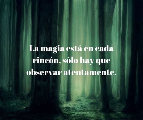 30 Frases Sobre La Magia Y La Videncia Frases Y Amor