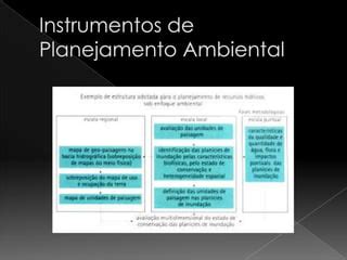 Planejamento Ambiental Cap Ii Etapas Estrutura E Instrumentos Do