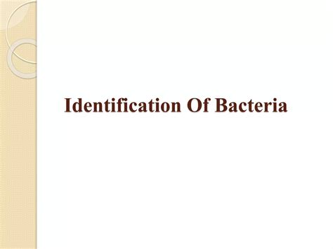 Biochemical Reactions Ppt Pptx