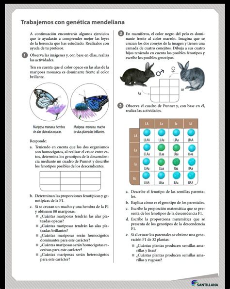 Nesesito de su ayuda Trabajemos con genética mendeliana continuación