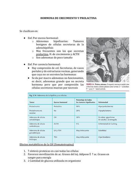 Hormona de crecimiento y prolactina Angie Quiñones Saldaña uDocz