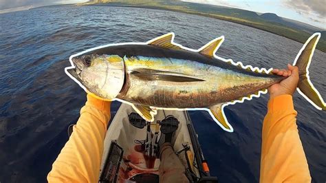 Hawaii Kayak Fishing Trading Silver For Gold Yellowfin Tuna On Live