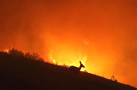 Malibu residents flee yet another destructive fire