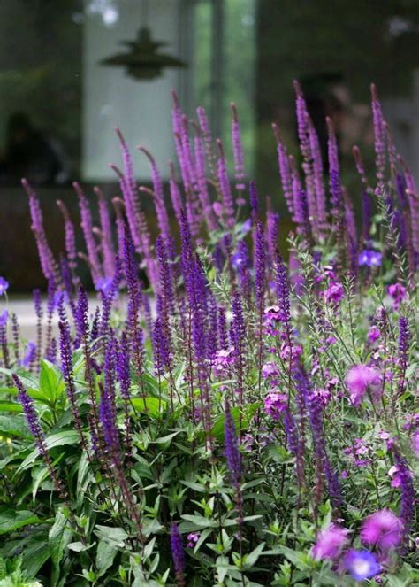 Ландшафтный ЭКСПЕРТ️🌳 | Дизайн сада, [5 янв. 2023 в 10:15] ТОП-9 ...