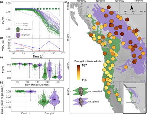 Weak Local Adaptation To Drought In Seedlings Of A Widespread Conifer Candido‐ribeiro 2024