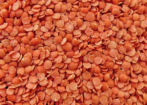 DRIED RED LENTILS 5kg