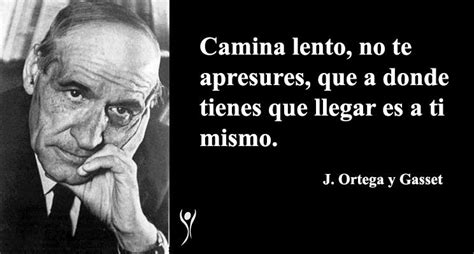 100 Frases De Ortega Y Gasset De Filosofía Sobre La Vida