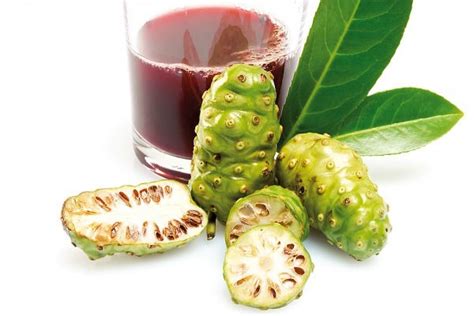 Suco De Noni Para Que Serve - Jacy Santos: Os 15 Benefícios do Suco de Noni Para Saúde