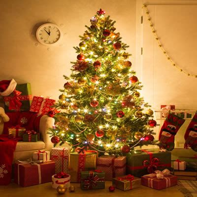 Christmas Tree Shop Online