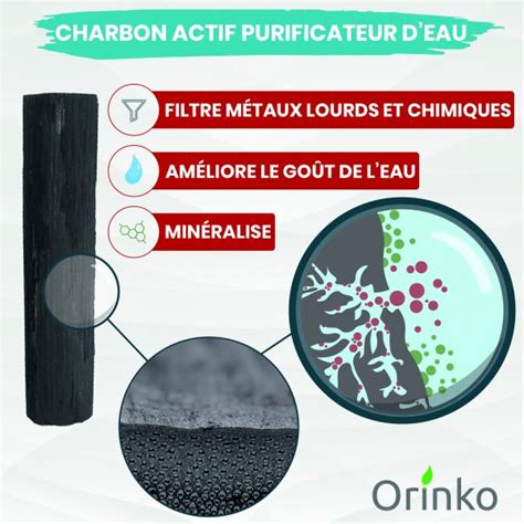 Binchotan Japonais De Tosa X Charbon Actif Pour Purifier L Eau