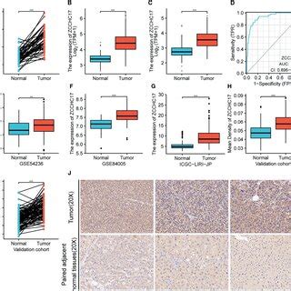 The Relationship Between ZCCHC17 Expression And Immune Cells