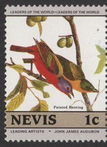 Stamp Painted Bunting Passerina Ciris Nevis Leaders Of The World