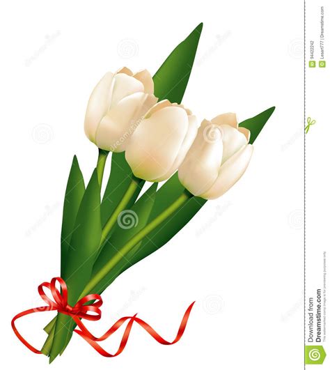 Bouquet Of White Tulips Stock Vector Illustration Of Beautiful 94422242