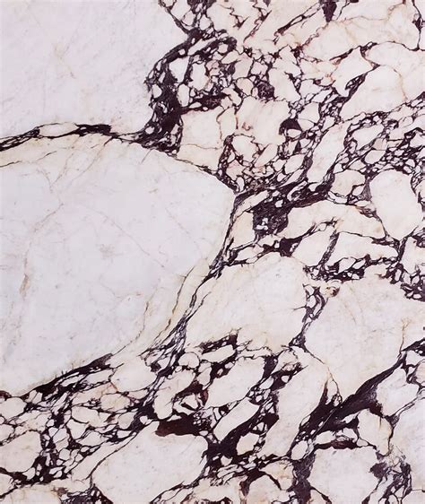 Calacatta Viola Marble The Vivid Choice Bay Area And Sacramento Irg