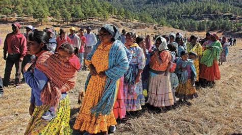 Pueblos Indígenas Siguen Sin Ejercer A Plenitud Sus Derechos En México Cidh Desinformémonos