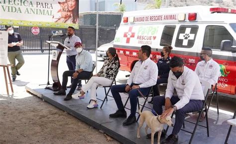 Presentan proyecto del nuevo Centro de Atención Canina y ambulancia de