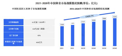 2023年种子行业前景：政府加强种子行业监管报告大厅