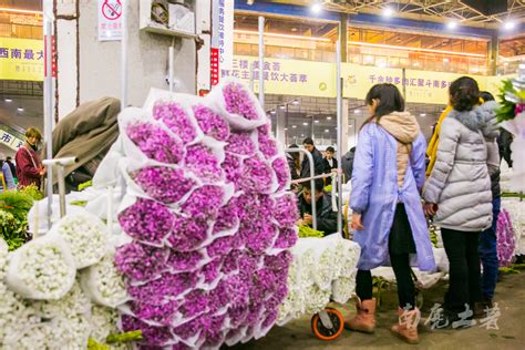 中国最大的花卉市场，鲜花白菜价，卖花像卖菜南麂土著新浪博客