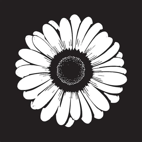 Flower Fusion Gerbera Daisy Vector Emblem Sunny Petals Gerbera Daisy