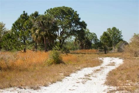 Lake Kissimmee State Park In Lake Wales, FL | America's State Parks