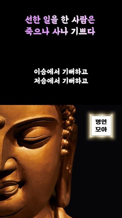 선한 일을 한 사람은 죽으나 사나 행복합니다 석가모니 법구경 1장 쌍요품 힐링이 되는 석가모니 인생조언 명언모음 인생을