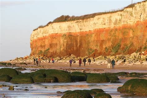 Penny S Hot Birding And Life Hunstanton Cliffs